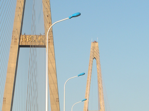 天津?yàn)I海新區(qū)臨港立交橋海河大橋自彎臂路燈項(xiàng)目